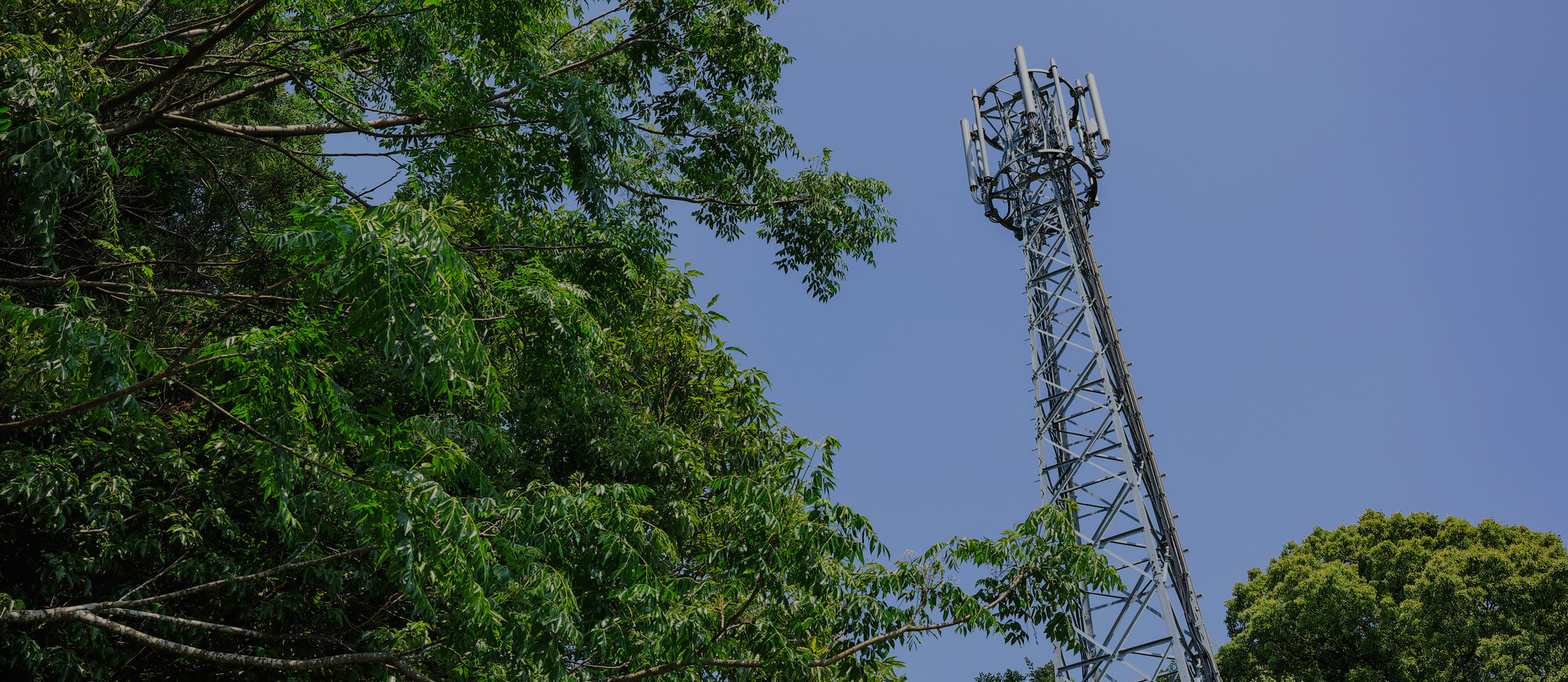 迅速・確実・丁寧